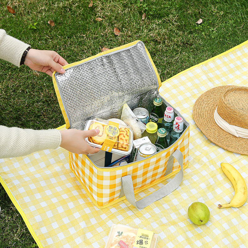 Large Capacity Insulated Picni - Food Storage Hiking reseña y precio