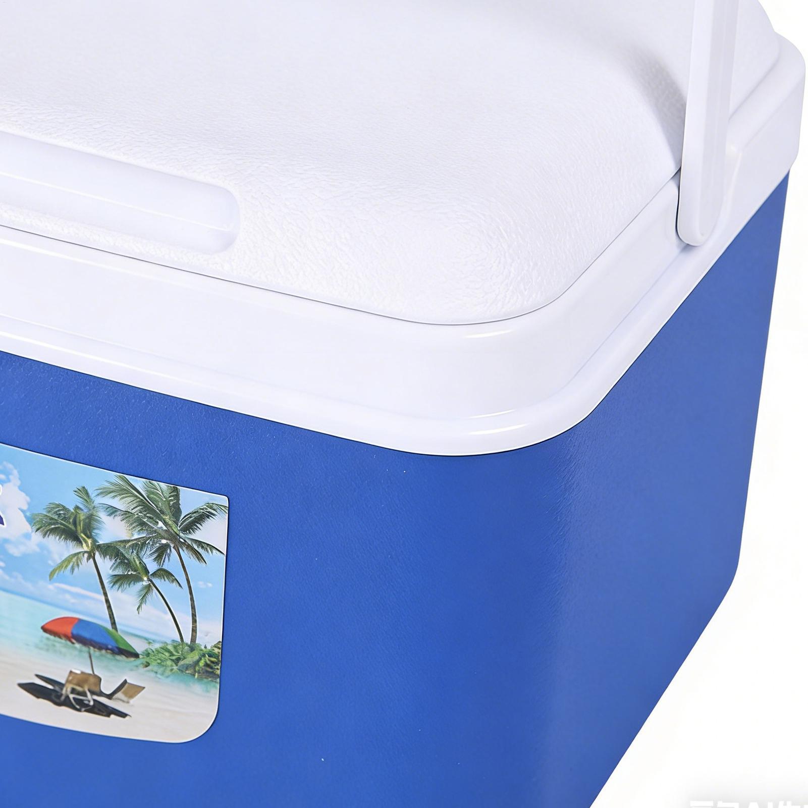 5L/8L Insulated Cooler Box Por - Food Storage Hiking reseña y precio