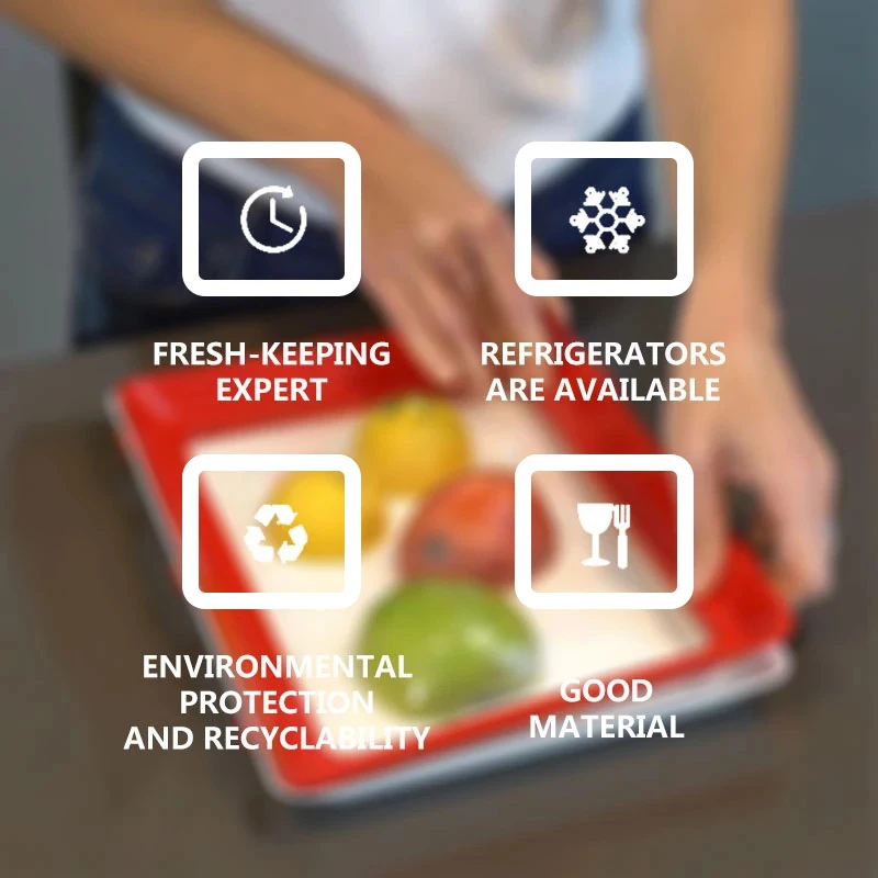Food Preservation Tray PP Reus - Food Storage Food Safety reseña y precio
