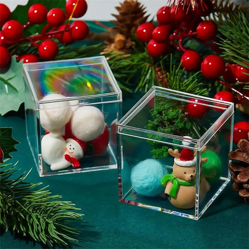 12 PCS Transparent Acrylic Box - Food Storage With Dividers reseña y precio