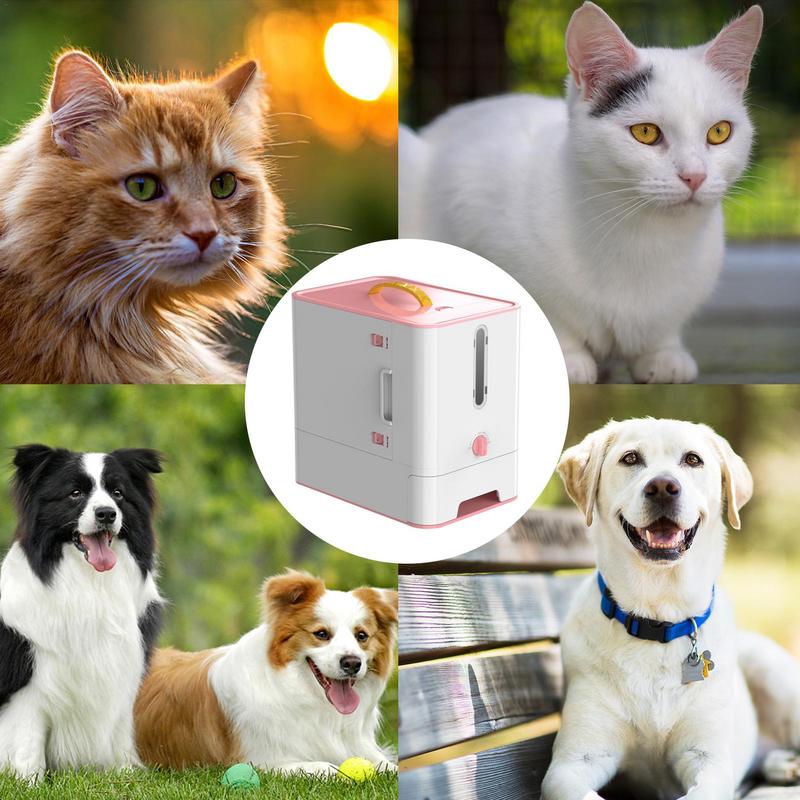Pet Feeder Box Feeding Bowl Ca - Food Storage Food Safety reseña y precio