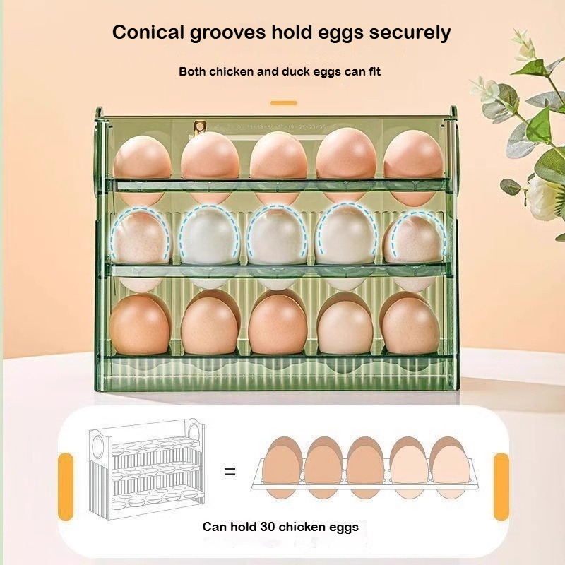 Automatic Rebound Egg Storage  - Food Storage With Dividers reseña y precio