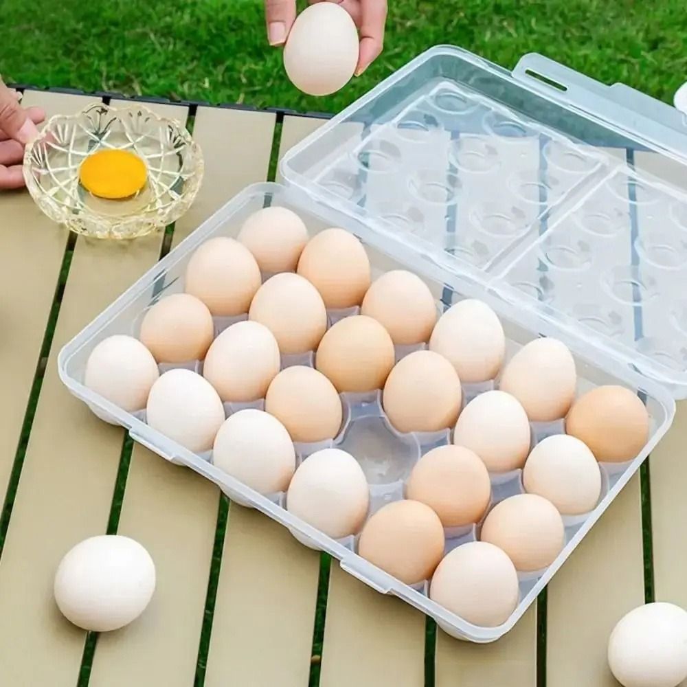 Plastic Egg Storage Box Anti-c - Food Storage Hiking reseña y precio