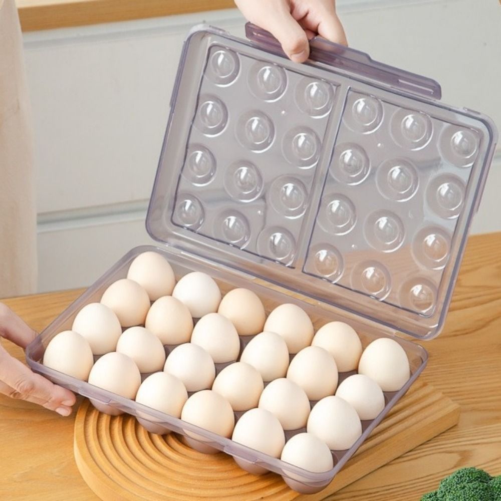 Plastic Egg Storage Box Anti-c - Food Storage Hiking reseña y precio