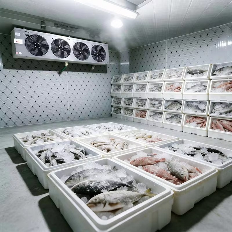 Customized Food Grade Cold Sto - Food Storage Food Safety reseña y precio