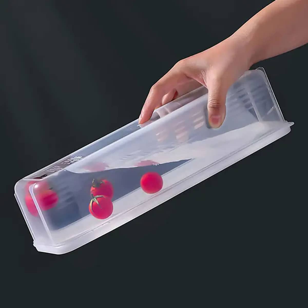 1 Plastic Transparent Storage  - Food Storage Made Easy reseña y precio